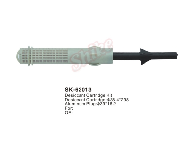 SK-62013